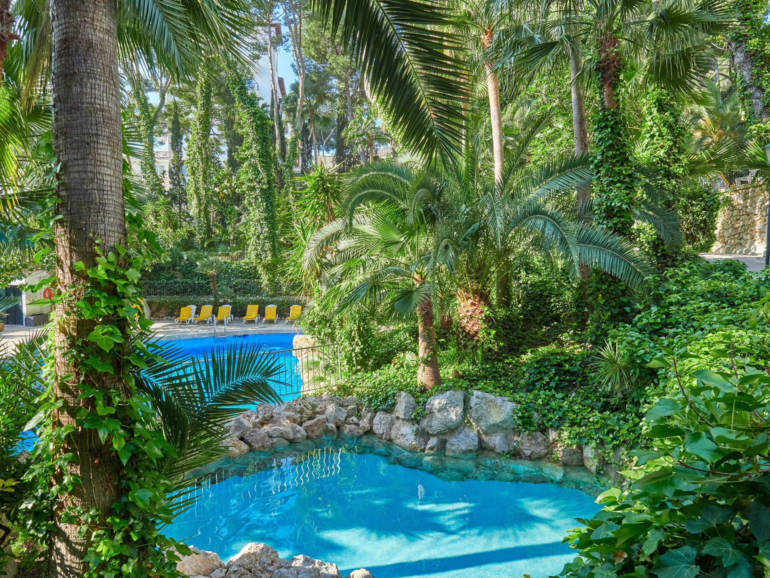 Hotel Bonsol tropical gardens